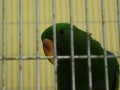 20180513-dc3adszmadc3a1r-14