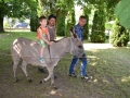 20160529-gyereknap-061-large