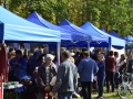 20170930-almafesztivc3a1l-270-large